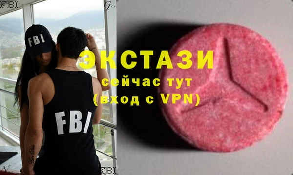 МДПВ Каменка